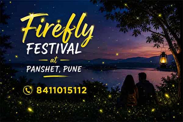 Firefly festival camping experience near Panshet backwaters and forest area